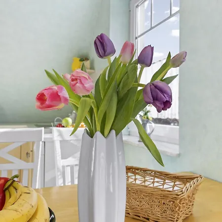 Nordlicht - Windjammer