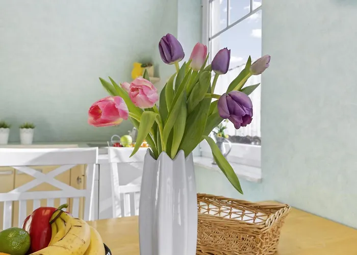 Nordlicht - Windjammer